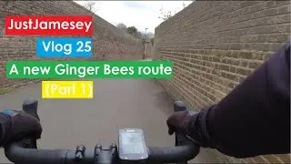 Vlog 25 - A new Route to the Ginger Bees (Part 1)