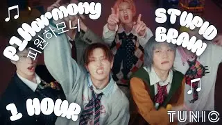 P1Harmony (피원하모니) - STUPID BRAIN ✨ 1 HOUR EDIT ✨ LONG LOOP VERSION ✨ #P1Harmony #STUPIDBRAIN #1HOUR