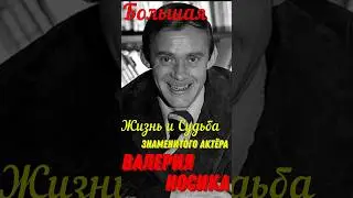 Большая жизнь и судьба знаменитого актёра театра и кино Валерия Носика!