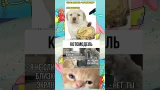 #memes#fyp#youtube