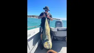 fishing jurien 25kg Mahi Mahi out at the fads