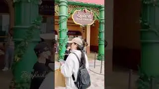 Thăm Vin Wonder Vũ Yên, Hải Phòng