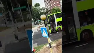 7 min and 52 seconds of sg bus spotting 