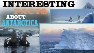 14 Interesting Facts About Antarctica |  Little Known Facts  | The frozen realm of Antarctica
