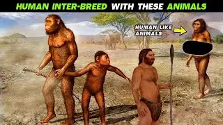 Early Human Inter-breed With Neanderthals | Homo Neanderthal | Evolution | Farhan Factopedia