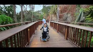 Mumbai's 1st Elevated Nature Trail | Malabar Hill | Forest Walkway