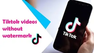 How to download Tiktok videos without watermark online