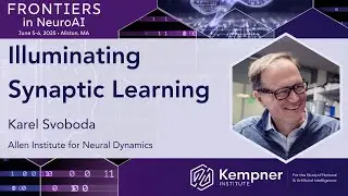 Illuminating Synaptic Learning with Karel Svoboda