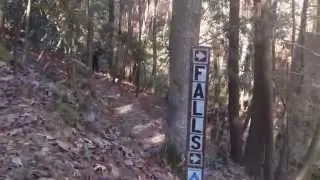 Hike to Fall Branch Falls (Nov. 2015)