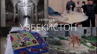 МЫ ПЕРЕЕХАЛИ В УЗБЕКИСТАН с ребенком | Навруз | Метро | Зоопарк | Magic city | Еда | Ташкент