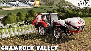Selling silage bales, weed control, fertilizing  | Shamrock valley | Farming simulator 19 | ep #13