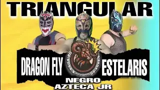 Dragon Fly vs Negro Azteca Jr vs Estelaris | 686 Pro Wrestling