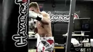 Hayabusa Tokushu Boxing Gloves