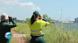 Wader Bird Conservation Partnership: Queensland Alumina Limited