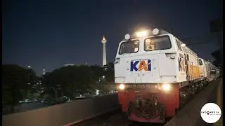 Midnight Train ASMR: Relaxing Night Ride Compilation