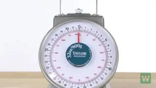 Taylor THD32D 32 oz. Dashpot Scale