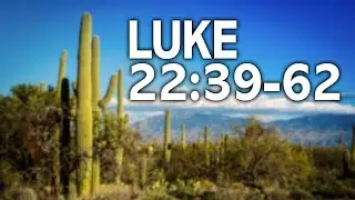 Pray Against Temptation and Being Ashamed | New Covenant Community Church