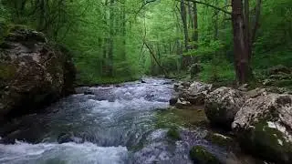 Natural Beauty