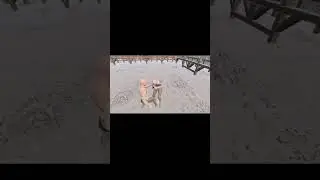 half sword 1st boss