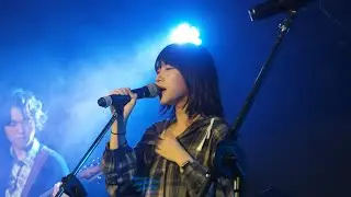 化石バンド(화석밴드) ー 丸の内サディスティック、Yesterday、怪獣の花唄、君の知らない物語