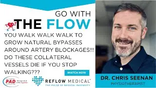 Do Collateral Vessels Die If You Stop Walking | Dr. Chris Seenan
