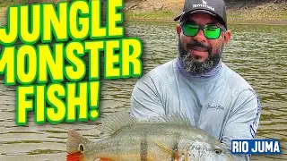 Monster Amazon Jungle Fishing in Rio Juma &ndash; Exotic Giant Fish Battle!