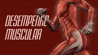 Desempenho Muscular | Cinesioterapia