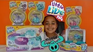Best for Kids New Little Live Pets Lil' Mouse House Trail - 3 Pet Mice - Mouse House | Moose Toys