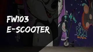 EM2GO E-Scooter FW103ST mit 36V Akku 4.4Ah & Stra&szlig;enzulassung