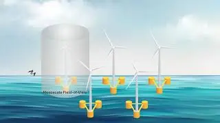 CEC EPIC SEABIRD