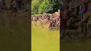 Wow! Amazing Polo Fishing Videos ! Best Big Fish Catching ! Primitive Technique fishing #fish #india