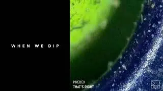 Premiere: Predex - That's Right (Remcord 4.20mix) [REBA]