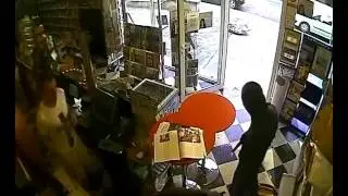 The Ultimate Guard Dog Attacks Robber And Saves The Day