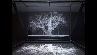 Mat Collishaw, Albion