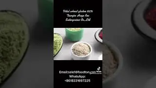 Vital wheat gluten from Tianjin Huge Roc Enterprises Co.,Ltd  #wheatgluten