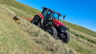 Andainage foin 2022 Case Vestrum 110 | Fella TS 400 dn