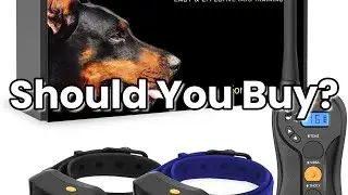 Review PetSpy P620B Dog Training Shock Collar for 2 Dogs with Vibration, Electric Shock, Beep