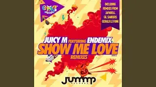 Show Me Love (Gerald Le Funk Remix)