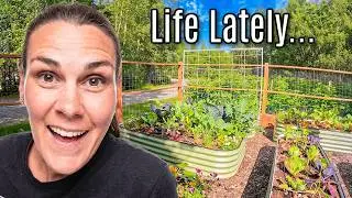 Doing Something NEW! Garden Updates & Getting Things Done around Home