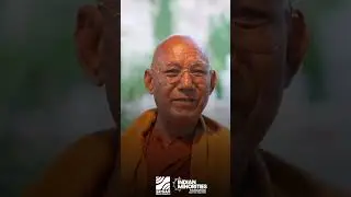 Buddhist Community Hails Pm Modi As Greatest Global Peacemaker