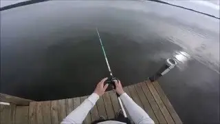 How to catch Striped Bass with Swimbaits
