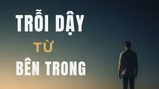5 Bí Mật Về Sự Chuyển Hóa Nội Tại Và Thành Công Bền Vững | Bài Học Thành Công