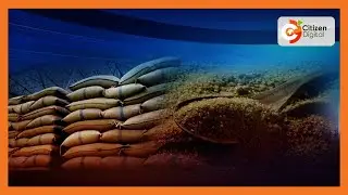Local millers ask the government to license them to import sugar
