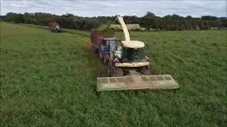 Wholecrop 2020 ~ Co. Kerry