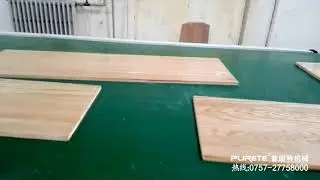 PURETE UV COATING LINE 2A (Filling+Laser roller) for primer and top coat