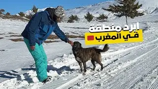 البرد يجمد إيقاع الحياة في إملشيل🥶❄️