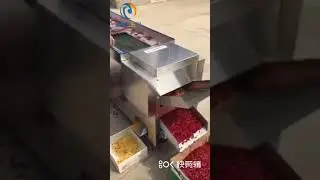 chilli seed removal machine- sales012@brightsail-asia.com