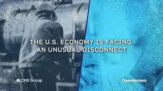 Economist Perspective: The Jobs-GDP Disconnect