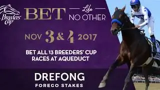 Drefong road to the Breeders' Cup 2017