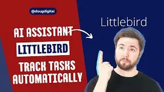 Little Bird: Context-Aware AI Tracker Playback